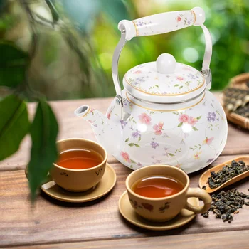 Esmalte Bule De Chá De Água Do Agregado Familiar Que Serve Durável Cozinha Essentials Simples Teakettle